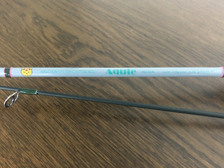 楽天市場】HAL ハルシオンシステム / アキュート AQ-S54L : NorthCast 