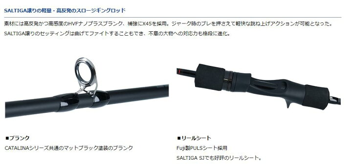 楽天市場】ダイワ DAIWA / キャタリナSJ CATALINA SJ 60B-2 : NorthCast