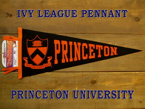 �A�C�r�[���[�O �y�i���gPrinceton University�v�����X�g����w