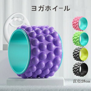 yő2000~OFFzKzC[ ؖ[X seBX Xgb` yc{ztH[[[ {[ g[jO bNX K a28cm