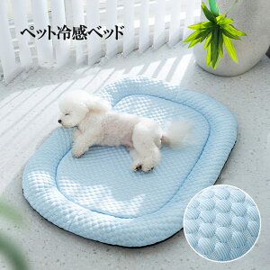 yő2000OFF+P2{zybgxbh p t 􂦂 ⊴}bg  ybg ybg}bg ⊴pbh N[}bg Ђ}bg \tgWF}bg p}bg  Lp pr  M