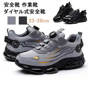 yő2000~OFFzSC ƌC _CSC Z[teB[V[Y |c y ʋC hSC Y ƌC JیC ϖՐ̍ƌC ꂠ񂺂C ϐh ϏՌ 