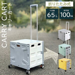 アウトドア用品 キャリーワゴン 100kg」の人気商品一覧・価格比較 