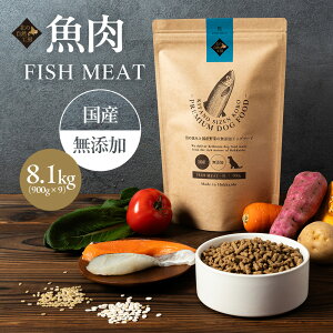 y|Cg5{z k̎RH[ FISH MEATijt[h 900g  hbOt[h p hCt[h Y Y ^ ^ ^  V e ̉a ̂ GT yV}