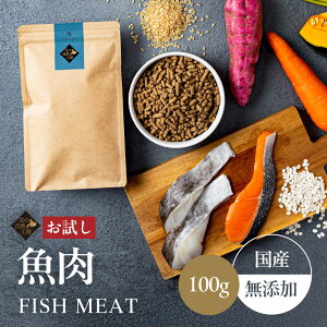 yzk̎RH[ 6킩Iׂ  hbOt[h 100g in   {  S~bNXj hbOt[h  Y Y  Tv hbNt[h hCt[h 