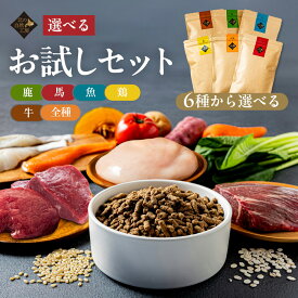 【送料無料】北の自然工房 6種から選べるお試し ドッグフード 100g （馬肉 鹿肉 魚肉 鶏肉 牛肉 全種ミックス） お試し 国産 無添加 小粒 サンプル ドックフード ドライフード 無添加ドッグフード 仔犬 シニア