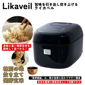 CJx Likaveil 茺Đъ IHĔ萆ъ HN-10FT 5.5 ъ ы@ уW[ X^CbV CXNbJ[ ͐ъ 茺 G  đ  \ 