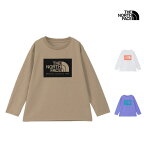 セール SALE THE NORTH FACE ノースフェイス キッズ ロングスリーブ TNF バグ フリー グラフィック ティー KIDS L/S TNF BUG FREE GRAPHIC TEE Tシャツ トップス NTJ32440 キッズ