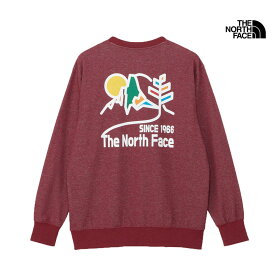 セール THE NORTH FACE ザ・ノース・フェイス グラフィック スウェット クルー GRAPHIC SWEAT CREW スウェット トップス NT82492 メンズ