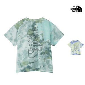 V THE NORTH FACE UEm[XEtFCX LbY gh[ V[gX[u mxeB[ rbO [g eB[ KIDS TODDLER S/S NOVELTY BIG ROOT TEE TVc gbvX NTT32579 LbY