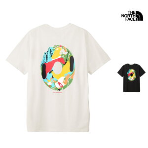 Z[ SALE UEm[XEtFCX THE NORTH FACE V[gX[u C[GX T[L[V eB[ S/S ES CIRCULATION TEE TVc gbvX NT32584 Y