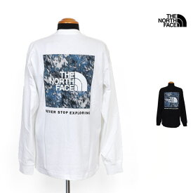 25-26 秋冬 新作 ザ・ノース・フェイス THE NORTH FACE ロングスリーブ スクエア デジタル グラフィック ティー L/S SQUARE DIGITAL GRAPHIC TEE Tシャツ トップス NT82545 メンズ