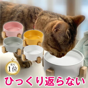 猫用 水飲みボウル 陶器 足つき