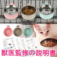 ＼ ランキング1位獲得！／ 猫 犬 水 ケージ 水飲み 水飲み器 餌皿 取り付け 固定 水入れ 餌入れ ネコ イ…