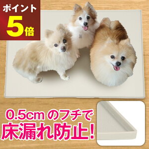 _ ؂Ɠ !!!^  gCg[ X[p[Ch gCgC gCgC  gC VR Ch 60×40 g[ gC gCg[ gCgC ^ ~ tbg 