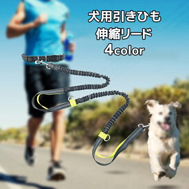 犬用引きひも 伸縮リード ペット用品 犬 犬用 愛犬用リード 愛犬用 リード 反射素材 犬 腰ベルト付き 中型犬 小型犬用 ロング キャット 両端使え ドッグ 伸縮 夜間安全 旅行用 CW053