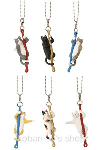 S6 Rv[g ߁[ ɗL L[z_[ ɗ lR ˂ L K` K`K` tBMA