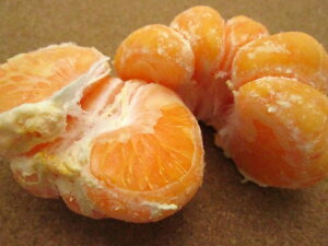 yKIMONO FRUITSzⓀ݂iYj500g_AL@엿AR͔|݂BR͔|݂̊ÖƎ_.B