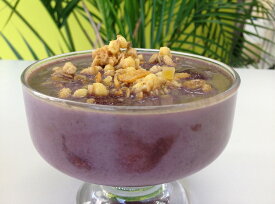 【KIMONO FRUITS】アサイーピューレ（冷凍）100g×100　無糖（ブラジル産　グロッソ（最高濃度）のアサイー）