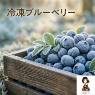 【KIMONO FRUITS】冷凍ブルーベリー1kg　チリまたはカナダ産栄養価の高いブルーベリーは、ポリフェノール…