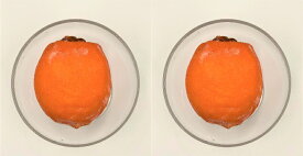 【KIMONO FRUITS】冷凍柿　あんぽ柿（徳島産）大玉　2個　【消費税込み】徳島産　無添加　干しあんぽ柿の短い旬の美味を凍らせました。徳島産　贅沢なあんぽ柿です。