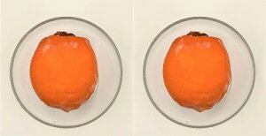 �yKIMONO FRUITS�z�Ⓚ����ۊ`�i�����Y�j�@8���蓿���Y�@���Y���@��������ۊ`�̒Z���{�̔����𓀂点�܂����B�����Y�@�ґ�Ȃ���ۊ`�ł��B