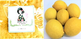 【KIMONO FRUITS】レモンパウダー（瀬戸内レモン）　レモン粉末　100g（50g×2袋）ノーワックス品【無着色、無香料】低温乾燥の無添加　国産レモンパウダー