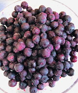 【KIMONO FRUITS】オーガニック冷凍ブルーベリー　1000g（カナダ産） 有機ブルーベリー　有機栽培、オー…