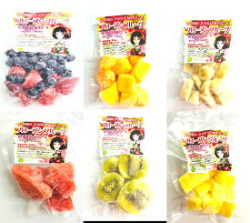 【KIMONO FRUITS】冷凍フルーツ　トロピカルフルーツ＆ベリーベリー、キウィ　6種類　100g×6（バナナ、マンゴー、パイン、すいか、ベリーベリー、キウィ）