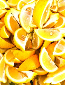 【KIMONO FRUITS】国産冷凍レモン（瀬戸内レモン）1/8カットまたは、1/6カット　3000g（1000g×3）　ノーワックス品 　バラ凍結で使いやすいです。