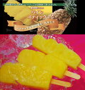【KIMONO FRUITS】果物屋さんのパインスティック(冷凍）100本入り/箱　パイン棒、パイン串　パインキャンディー　冷凍…