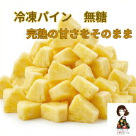 【KIMONO FRUITS】冷凍パイン　1kg（1000g）無糖（ベトナム産またはコスタリカ産）　完熟パインを一口サ…
