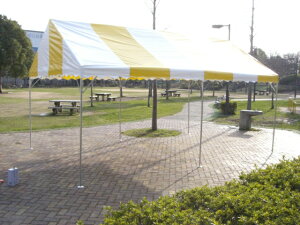 XgCveg2×3ԁ@6؁@60cmsb`