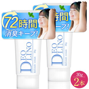 yKi͂̂݁z 2Zbg DEOLINO(fImj pfIhgN[ N[ LPA L LK 킫 ɂ  L ̏L e    N[