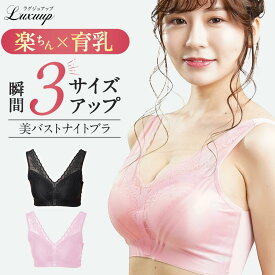 【公式正規品】ナイトブラ 育乳 ブラジャー 育乳ブラ ノンワイヤー ブラ 脇高 脇肉 美バストメイクブラ 谷間 谷間メイク 夜用 バストケア ブラ 夜用 昼夜兼用 バスト レース 楽 3D サイズアップ ボリュームアップ Luxuup ラグジュアップ 送料無料