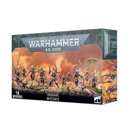 【デュカーリ：ウィッチ】 新品 ミニチュア プラモデル ウォーハンマー WARHAMMER ボードゲーム おもちゃ 玩具 プレゼント DRUKHARI WYCHES