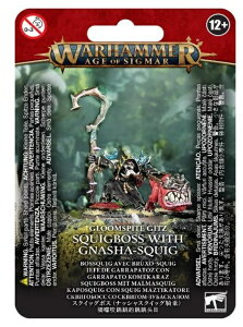 yO[XpCgEMbgFXNCbO{XiibVXNCbOsjz Vi ~j`A vf EH[n}[ {[hQ[  ߋ v[g WARHAMMER AGE OF SIGMAR AOS GLOOMS