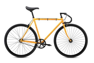 2025Nf Fuji tW FEATHER tFU[