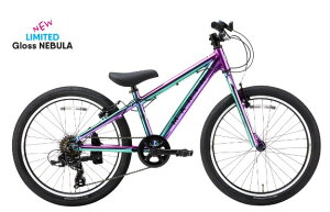 2026�N���f�� MARIN DONKY Jr.22 6S�}���� �h���L�[�W���j�A 22�C���` �q�ǂ��pLIMTED�@COLOR