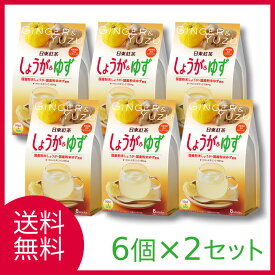 日東紅茶 しょうが＆ゆず 8本入×12袋 送料無料