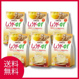 日東紅茶 しょうが＆ゆず 8本入×6袋 送料無料