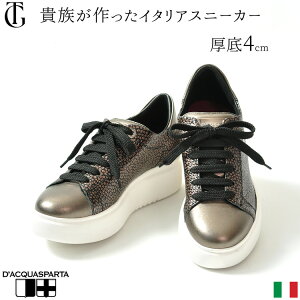 C^A {v Xj[J[ fB[X   S[h ubN C|[g uh 傫 TCY 25cm