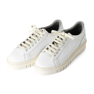 TCY  U[ Xj[J[ fB[X ꂢ ₷ Xj[J[  Xj[J[ 50 uh {v Xj[J[ L Ȃ y  Xj[J[   Xj