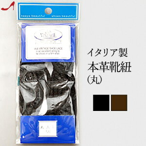 NuBe[W CR V[[X ۃq Ζڊ |Cq JWA u[c Ђ V[YR Cpi Xj[J[ u[c [XAbv ەR C ubN uE JWA V