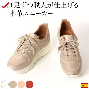 24.5cm 25cm ̂ U[ Xj[J[ fB[X ꂢ  Xj[J[  킢  {v _bhXj[J[  y uh bh  sN L 3e 4e _炩 50 