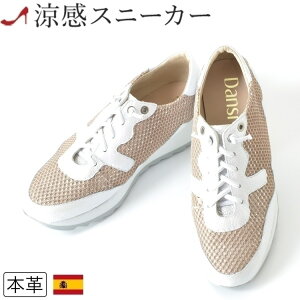 Ȃ  fB[X Xj[J[ uh Cq[ U[ Xj[J[  bV fB[X {v zCg y y RȂ ʋC Ȃ 傫 TCY 25cm 25.5cm  TC