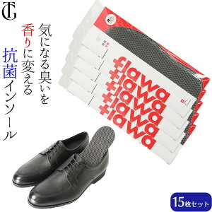 【約7ヶ月分・5パック】足の匂い消し 強力 インソール 消臭 足 インソール 足の臭い 対策 靴の 臭い消し 消臭 靴 消臭 入れるだけ 中敷き 靴 メンズ レディース 夏 蒸れ 革靴 スニーカー 運動