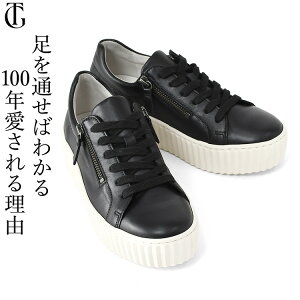  Xj[J[ 5cm {v fB[X ꂢ y zCg ubN  l C   3e _炩 EEE L t@Xi[ ₷ Ȃ TChWbp[ 50 60  O 