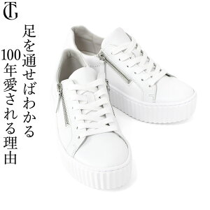  Xj[J[ 5cm {v fB[X ꂢ y zCg ubN  l C   3e _炩 EEE L t@Xi[ ₷ Ȃ TChWbp[ 50 60  O 