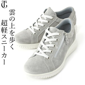 C^A  Xj[J[ y  uh C O[ 傫TCY y x[W XG[h U[ Xj[J[ _炩 ₷ Ch L 3E 50 60 {v Ȃ Rt